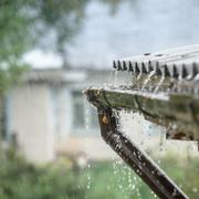 Rainwater Harvesting: How to Capture Water From Your Roof