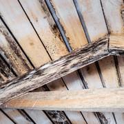 Spotting the Signs: How to Identify Mold Growth on Your Roof