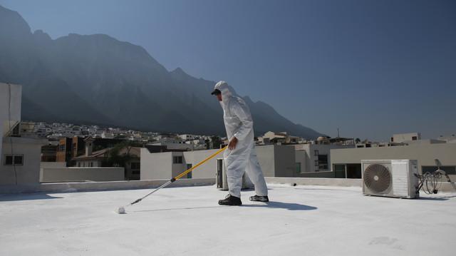 Maximizing Your Roof's Potential: Expert Tips and Directorii's Assistance