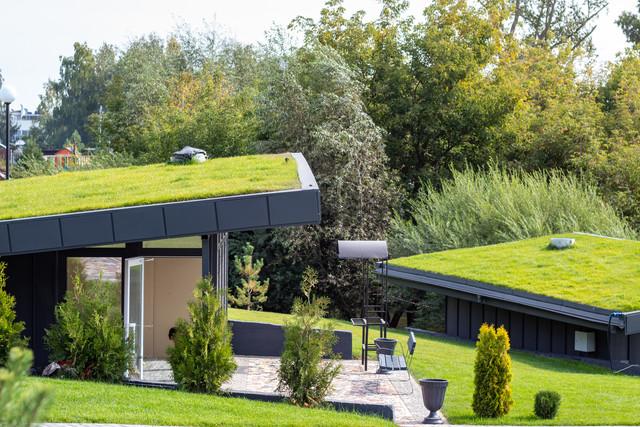 Eco-Friendly Roofing 101: A Comprehensive Guide to Green Roof Options and Benefits