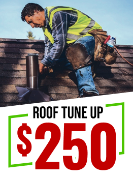 $250 Roof Tune Up logo